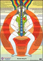 Ovarian Kung Fu